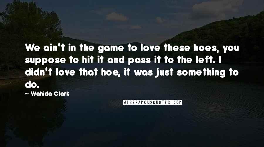 Wahida Clark Quotes: We ain't in the game to love these hoes, you suppose to hit it and pass it to the left. I didn't love that hoe, it was just something to do.