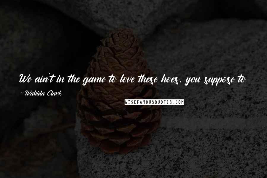 Wahida Clark Quotes: We ain't in the game to love these hoes, you suppose to hit it and pass it to the left. I didn't love that hoe, it was just something to do.