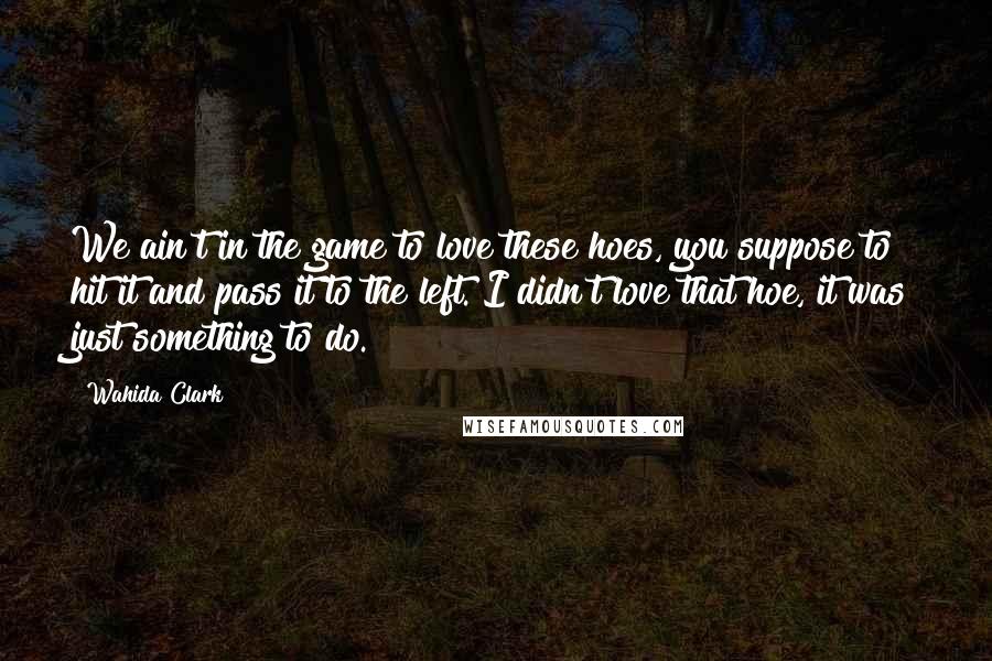 Wahida Clark Quotes: We ain't in the game to love these hoes, you suppose to hit it and pass it to the left. I didn't love that hoe, it was just something to do.