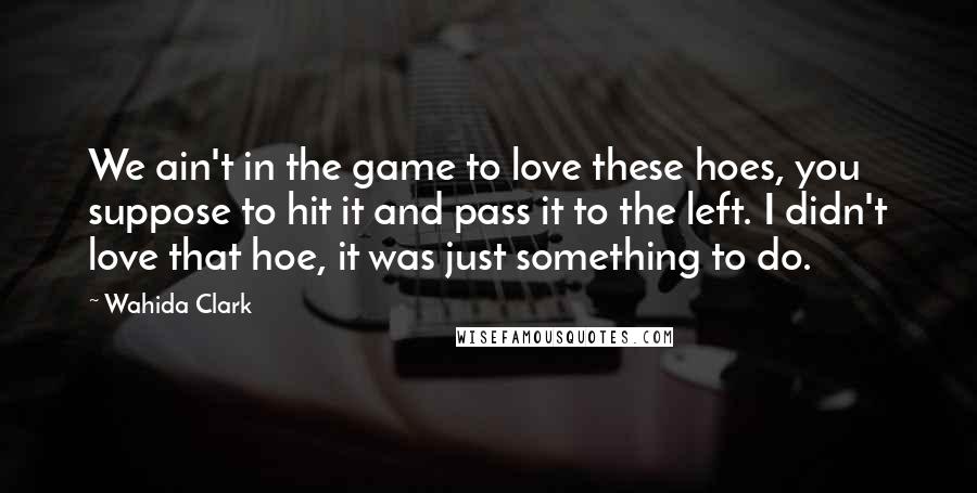 Wahida Clark Quotes: We ain't in the game to love these hoes, you suppose to hit it and pass it to the left. I didn't love that hoe, it was just something to do.