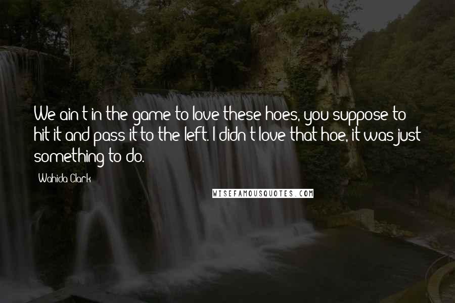 Wahida Clark Quotes: We ain't in the game to love these hoes, you suppose to hit it and pass it to the left. I didn't love that hoe, it was just something to do.