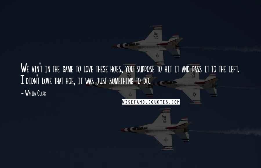 Wahida Clark Quotes: We ain't in the game to love these hoes, you suppose to hit it and pass it to the left. I didn't love that hoe, it was just something to do.