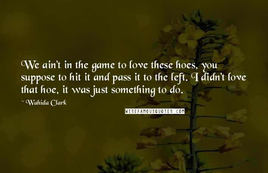 Wahida Clark Quotes: We ain't in the game to love these hoes, you suppose to hit it and pass it to the left. I didn't love that hoe, it was just something to do.