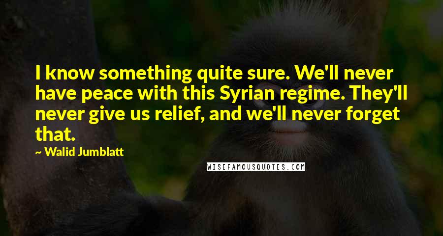 Walid Jumblatt Quotes: I know something quite sure. We'll never have peace with this Syrian regime. They'll never give us relief, and we'll never forget that.