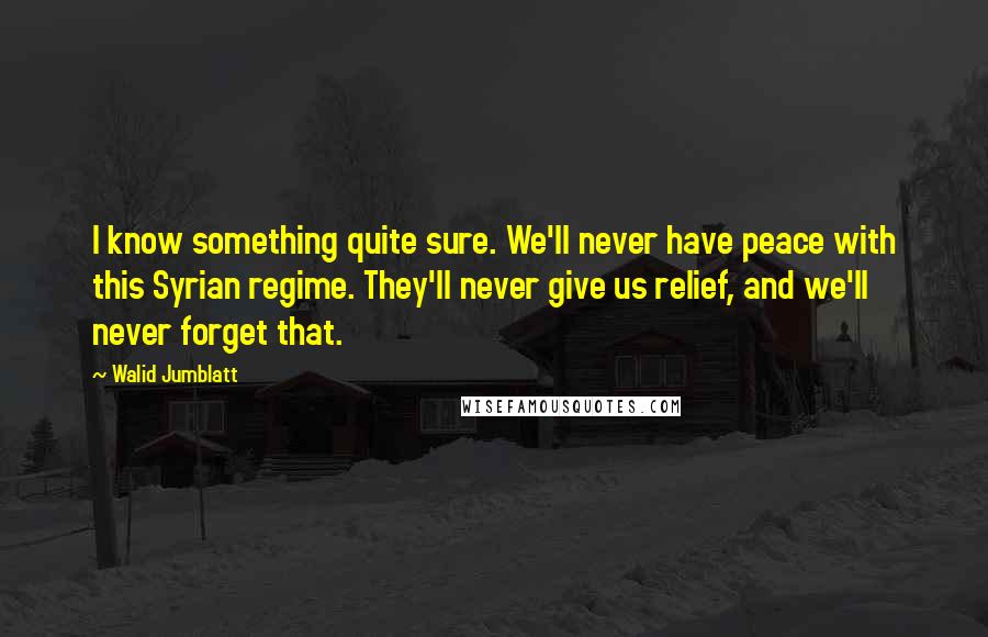 Walid Jumblatt Quotes: I know something quite sure. We'll never have peace with this Syrian regime. They'll never give us relief, and we'll never forget that.