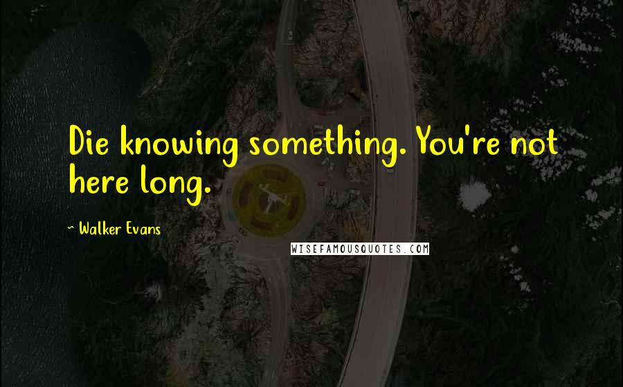 Walker Evans Quotes: Die knowing something. You're not here long.