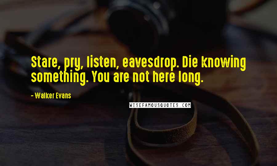 Walker Evans Quotes: Stare, pry, listen, eavesdrop. Die knowing something. You are not here long.