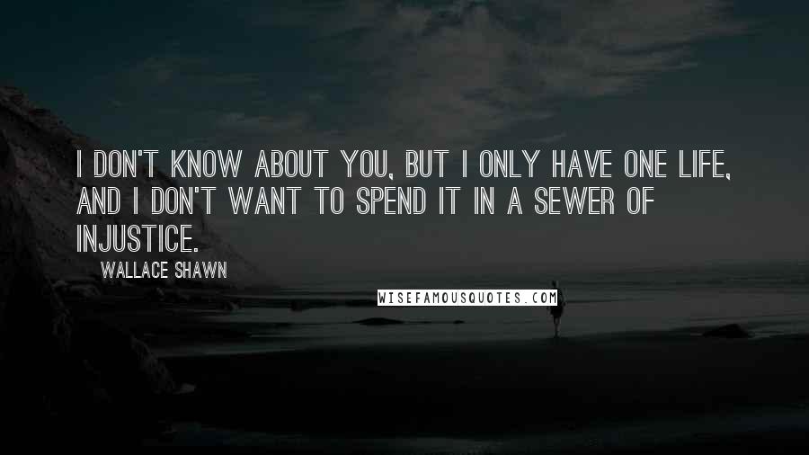 Wallace Shawn Quotes: I don't know about you, but I only have one life, and I don't want to spend it in a sewer of injustice.