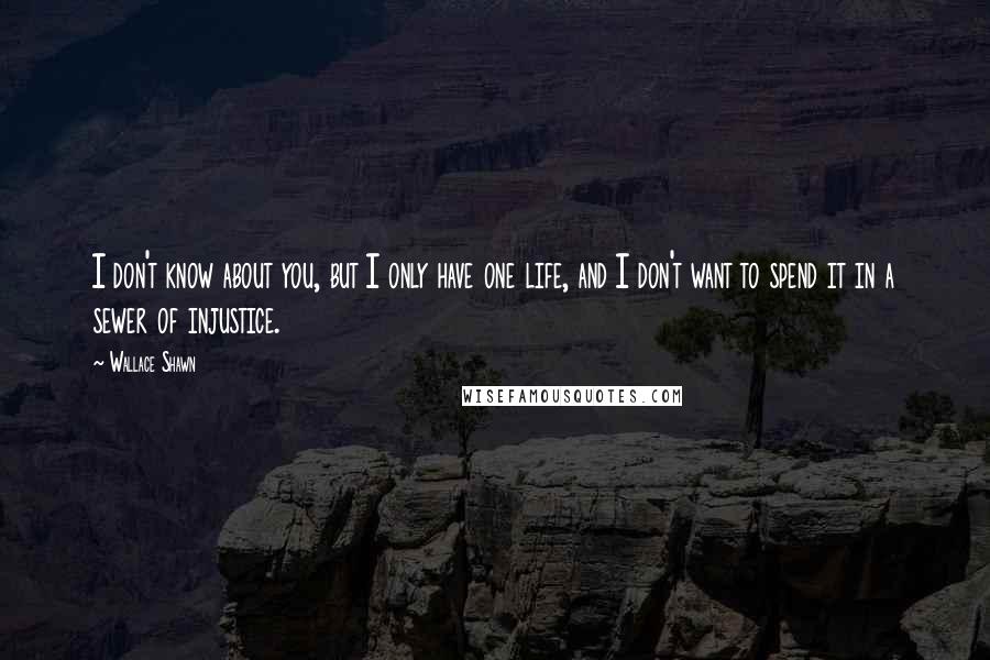 Wallace Shawn Quotes: I don't know about you, but I only have one life, and I don't want to spend it in a sewer of injustice.