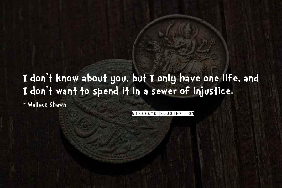 Wallace Shawn Quotes: I don't know about you, but I only have one life, and I don't want to spend it in a sewer of injustice.