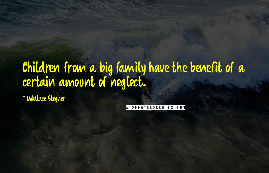 Wallace Stegner Quotes: Children from a big family have the benefit of a certain amount of neglect.