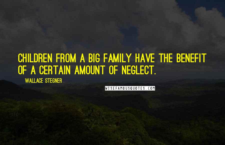 Wallace Stegner Quotes: Children from a big family have the benefit of a certain amount of neglect.