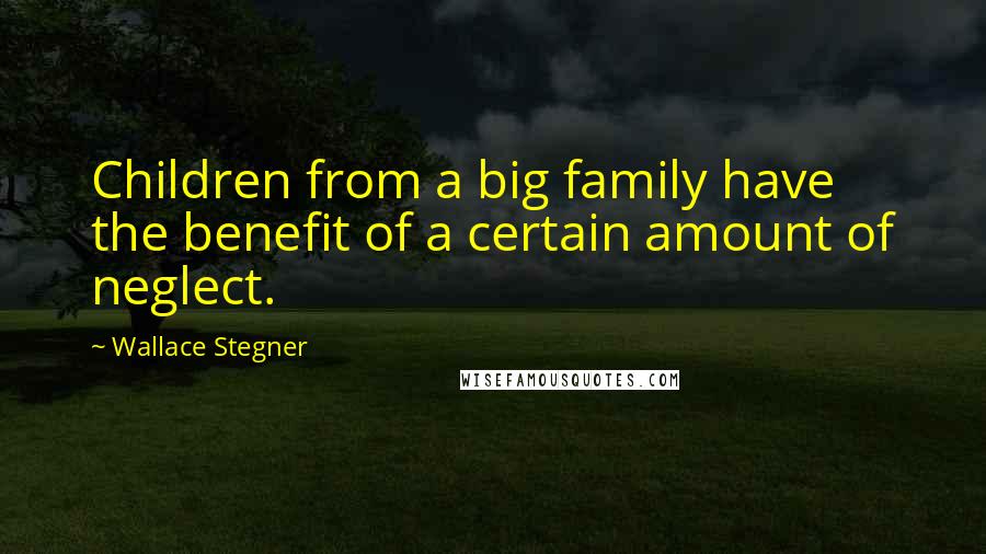 Wallace Stegner Quotes: Children from a big family have the benefit of a certain amount of neglect.