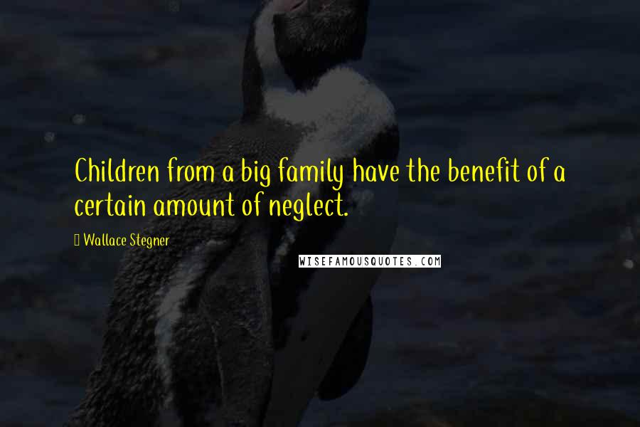 Wallace Stegner Quotes: Children from a big family have the benefit of a certain amount of neglect.