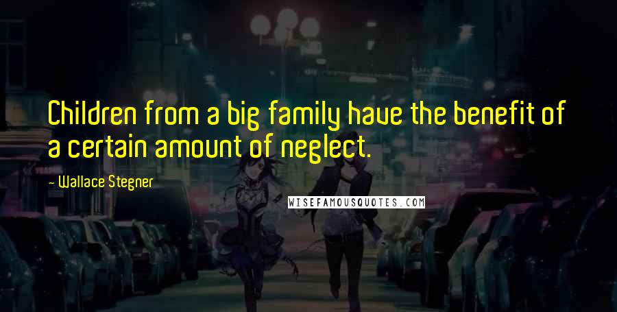 Wallace Stegner Quotes: Children from a big family have the benefit of a certain amount of neglect.