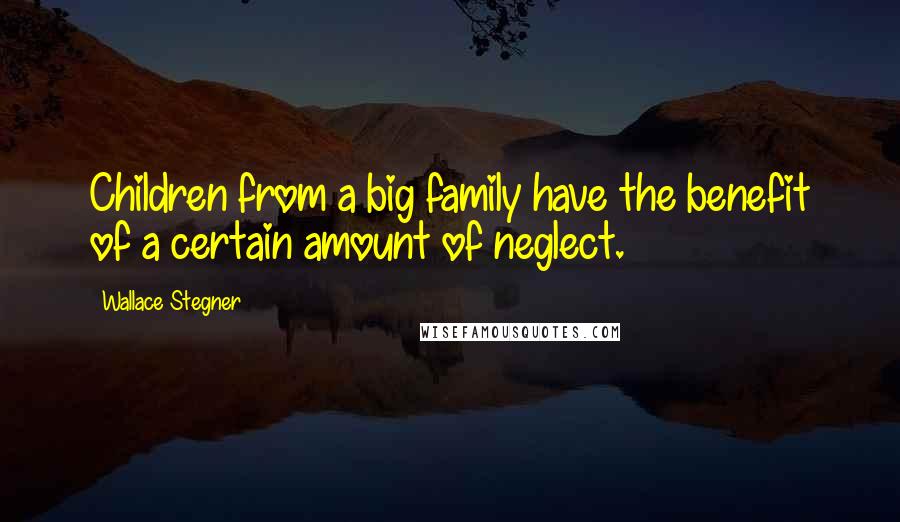 Wallace Stegner Quotes: Children from a big family have the benefit of a certain amount of neglect.