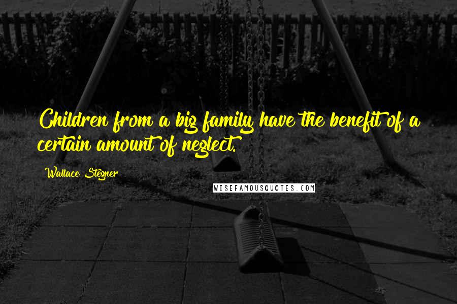 Wallace Stegner Quotes: Children from a big family have the benefit of a certain amount of neglect.