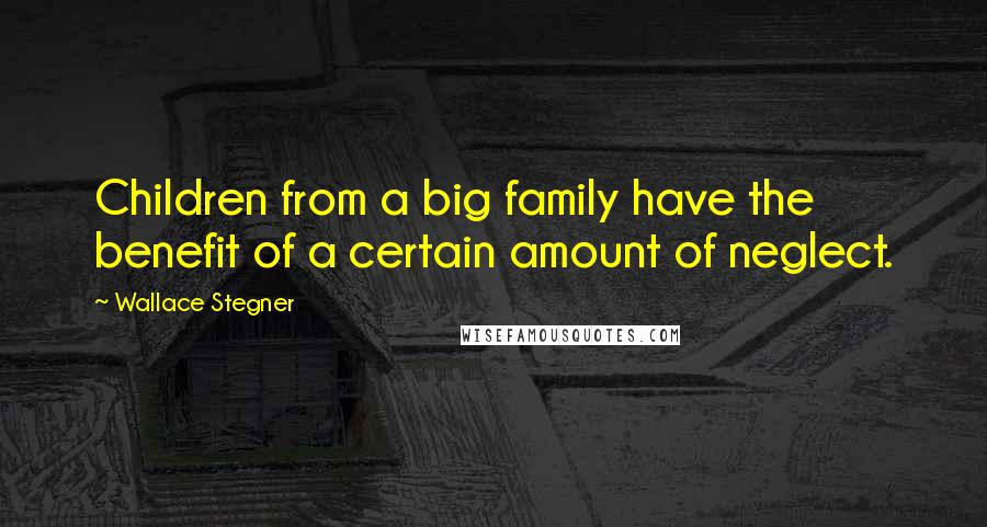 Wallace Stegner Quotes: Children from a big family have the benefit of a certain amount of neglect.