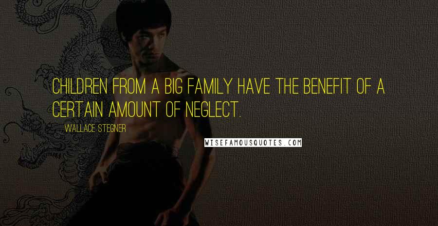 Wallace Stegner Quotes: Children from a big family have the benefit of a certain amount of neglect.