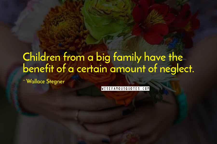 Wallace Stegner Quotes: Children from a big family have the benefit of a certain amount of neglect.