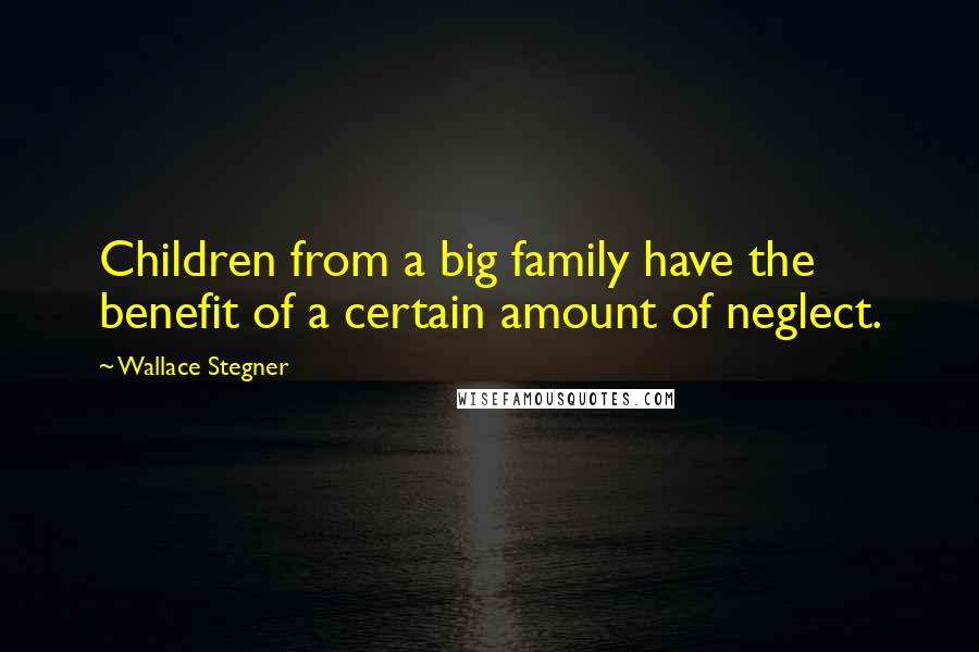 Wallace Stegner Quotes: Children from a big family have the benefit of a certain amount of neglect.