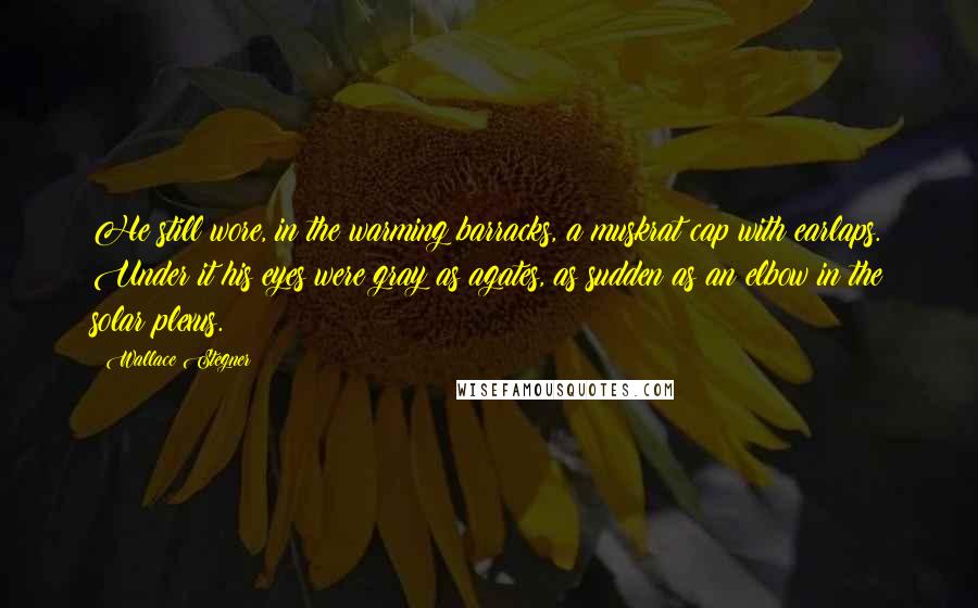 Wallace Stegner Quotes: He still wore, in the warming barracks, a muskrat cap with earlaps. Under it his eyes were gray as agates, as sudden as an elbow in the solar plexus.