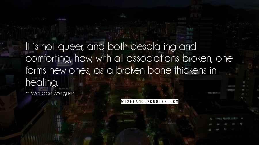 Wallace Stegner Quotes: It is not queer, and both desolating and comforting, how, with all associations broken, one forms new ones, as a broken bone thickens in healing.