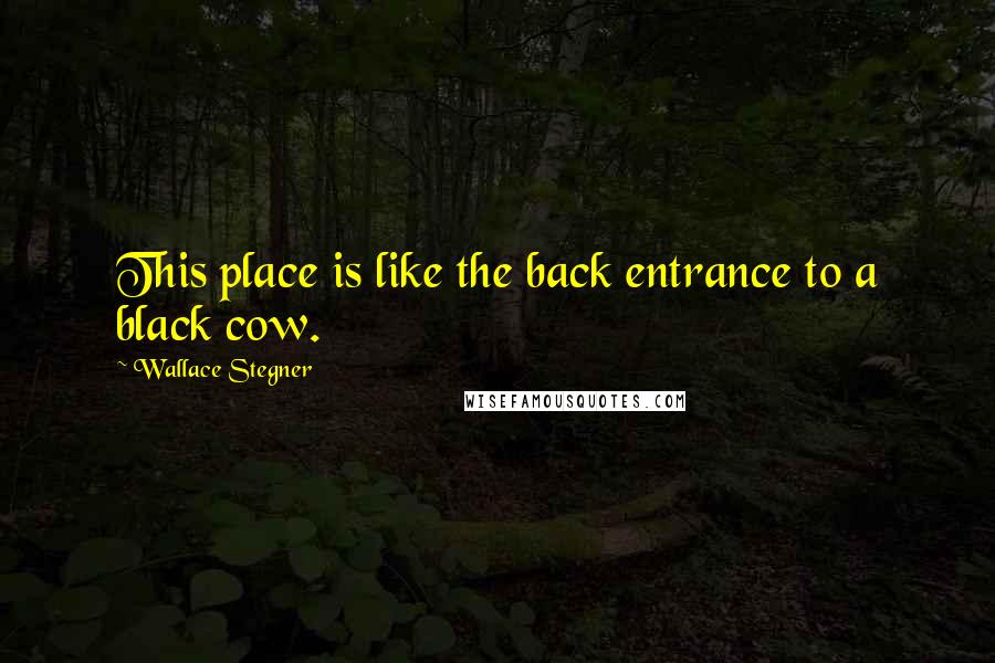 Wallace Stegner Quotes: This place is like the back entrance to a black cow.