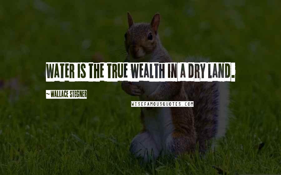 Wallace Stegner Quotes: Water is the true wealth in a dry land.