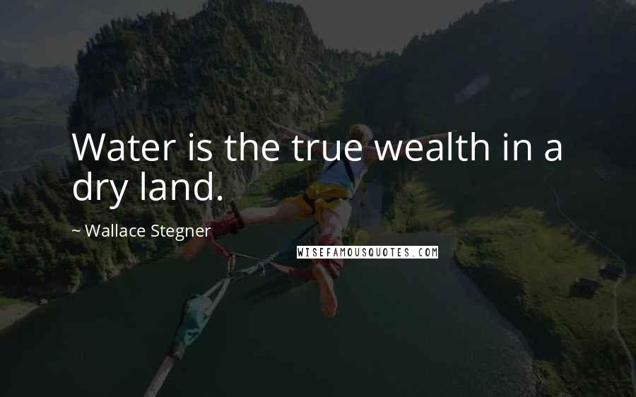 Wallace Stegner Quotes: Water is the true wealth in a dry land.