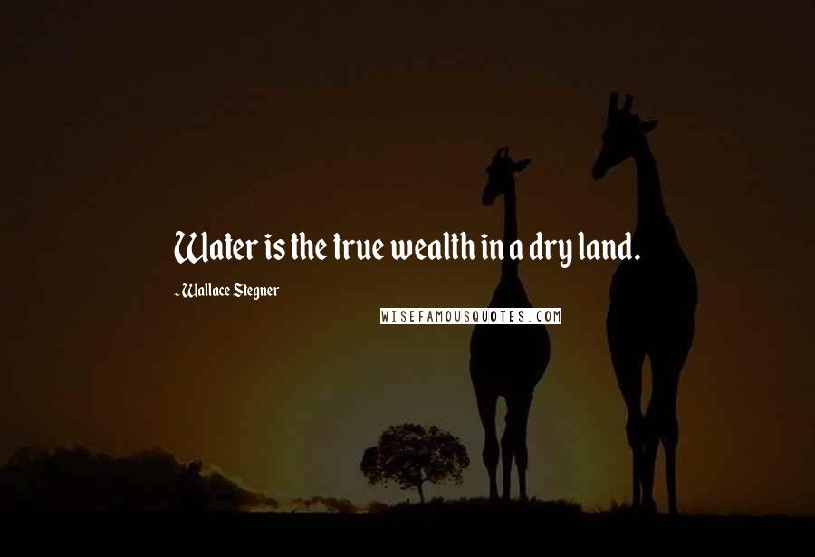 Wallace Stegner Quotes: Water is the true wealth in a dry land.