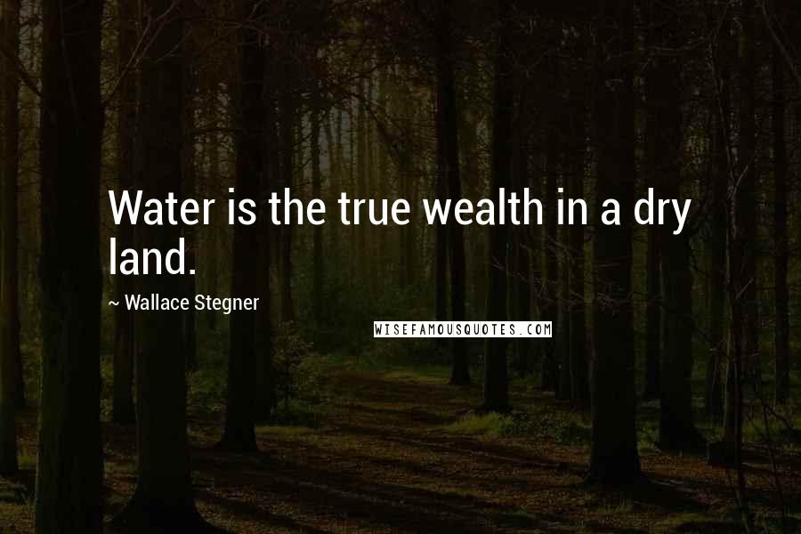 Wallace Stegner Quotes: Water is the true wealth in a dry land.