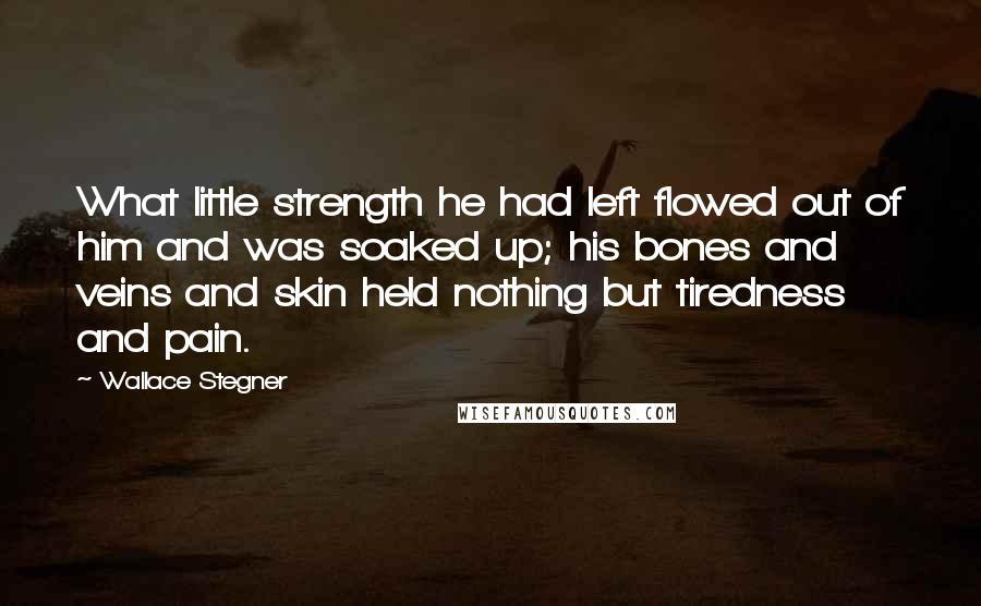 Wallace Stegner Quotes: What little strength he had left flowed out of him and was soaked up; his bones and veins and skin held nothing but tiredness and pain.