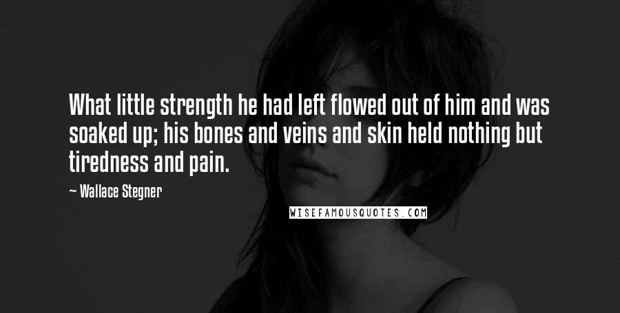 Wallace Stegner Quotes: What little strength he had left flowed out of him and was soaked up; his bones and veins and skin held nothing but tiredness and pain.