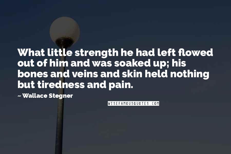 Wallace Stegner Quotes: What little strength he had left flowed out of him and was soaked up; his bones and veins and skin held nothing but tiredness and pain.