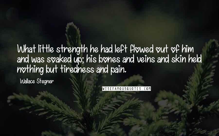 Wallace Stegner Quotes: What little strength he had left flowed out of him and was soaked up; his bones and veins and skin held nothing but tiredness and pain.