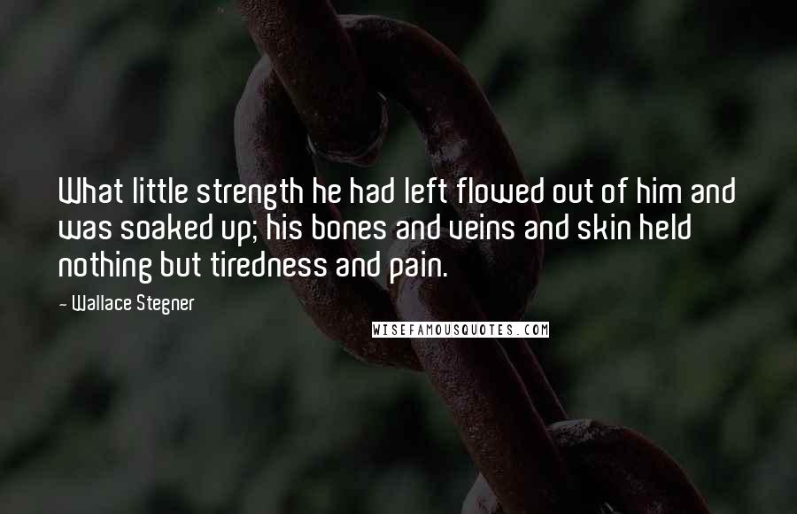 Wallace Stegner Quotes: What little strength he had left flowed out of him and was soaked up; his bones and veins and skin held nothing but tiredness and pain.