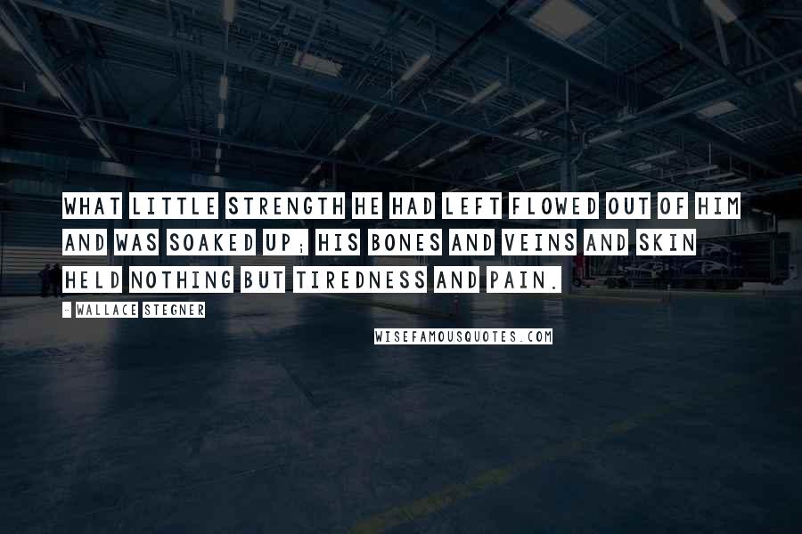 Wallace Stegner Quotes: What little strength he had left flowed out of him and was soaked up; his bones and veins and skin held nothing but tiredness and pain.