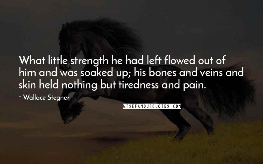 Wallace Stegner Quotes: What little strength he had left flowed out of him and was soaked up; his bones and veins and skin held nothing but tiredness and pain.