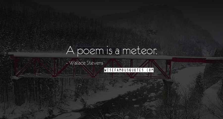 Wallace Stevens Quotes: A poem is a meteor.