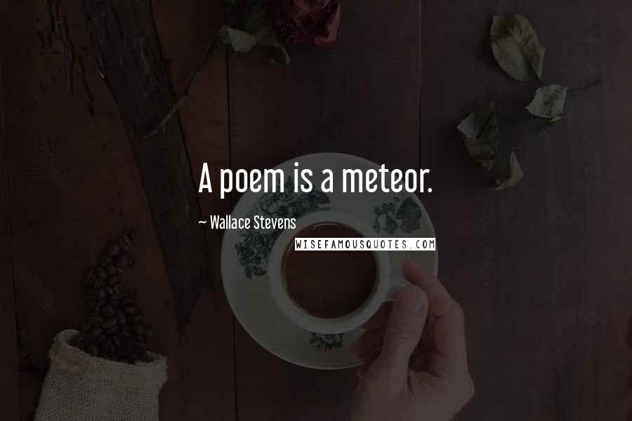 Wallace Stevens Quotes: A poem is a meteor.