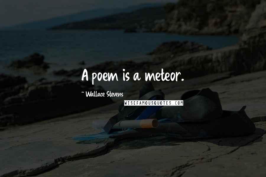 Wallace Stevens Quotes: A poem is a meteor.
