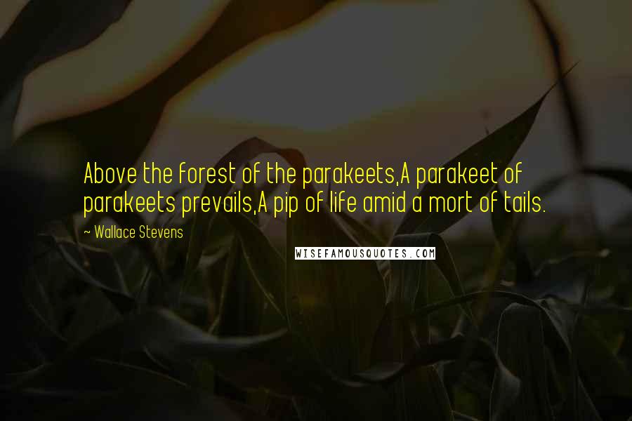 Wallace Stevens Quotes: Above the forest of the parakeets,A parakeet of parakeets prevails,A pip of life amid a mort of tails.