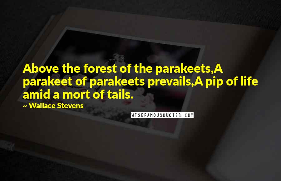 Wallace Stevens Quotes: Above the forest of the parakeets,A parakeet of parakeets prevails,A pip of life amid a mort of tails.