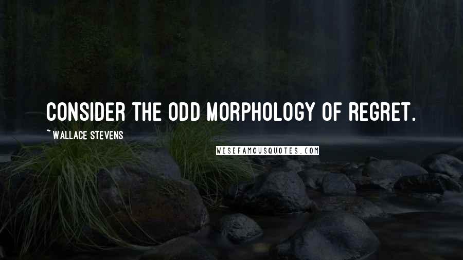 Wallace Stevens Quotes: Consider the odd morphology of regret.