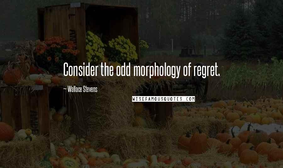 Wallace Stevens Quotes: Consider the odd morphology of regret.