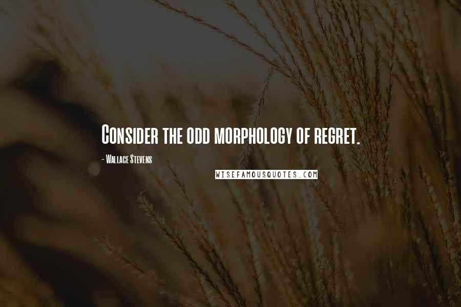 Wallace Stevens Quotes: Consider the odd morphology of regret.