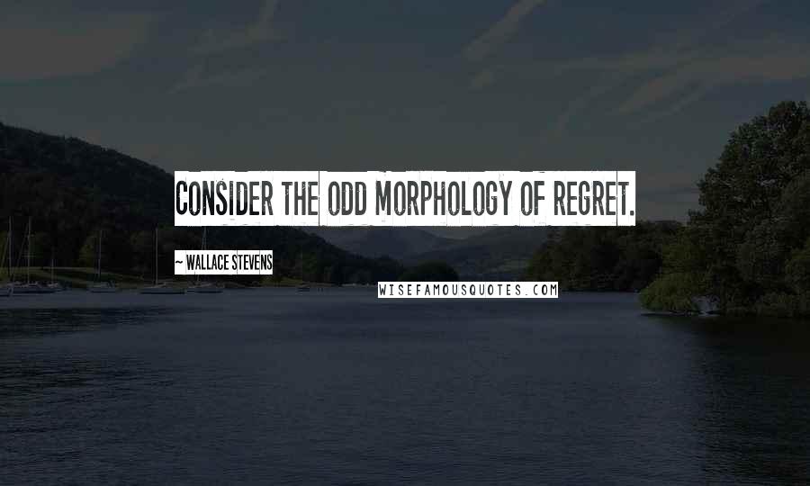 Wallace Stevens Quotes: Consider the odd morphology of regret.