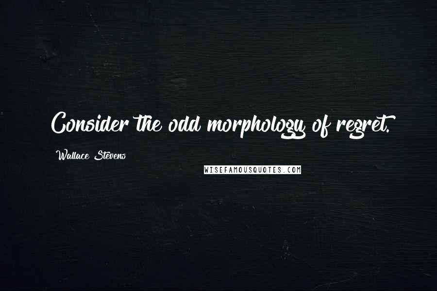 Wallace Stevens Quotes: Consider the odd morphology of regret.