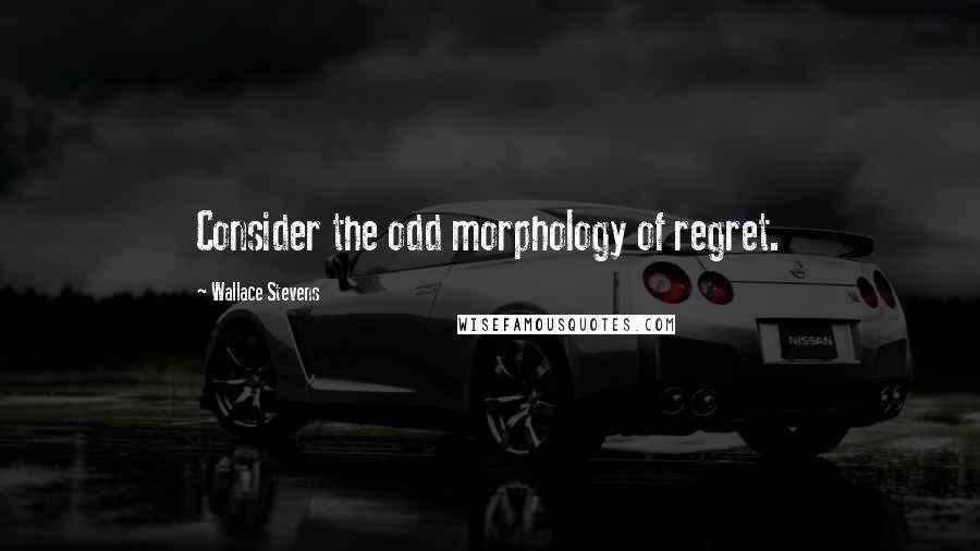 Wallace Stevens Quotes: Consider the odd morphology of regret.